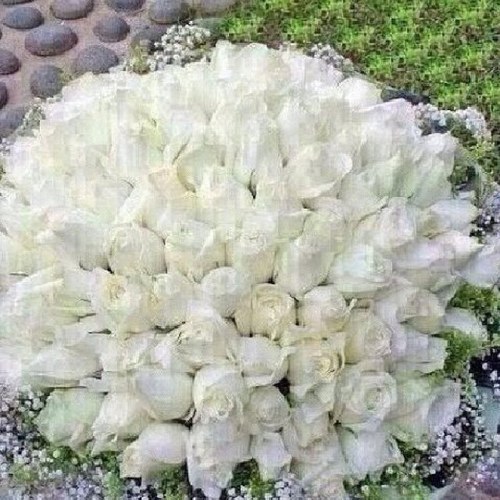 ،،،،،،،،،،،،،،،،،،،،،ربِّ أحسن خاتمتنا،،،،،،،،،،،،،،،،،،،،،،،،،،
