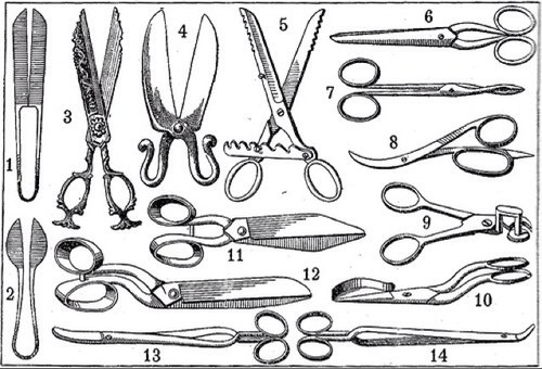Jhorts sometimes. Jeeves never. 
The bad idea of when jeans meet scissors.