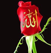 phiri_m's profile picture. I am a Muslim. Allah is my Lord, Islam is perfect, but I am not. If I make a mistake, blame it on me and not on my religion (ISLAM)