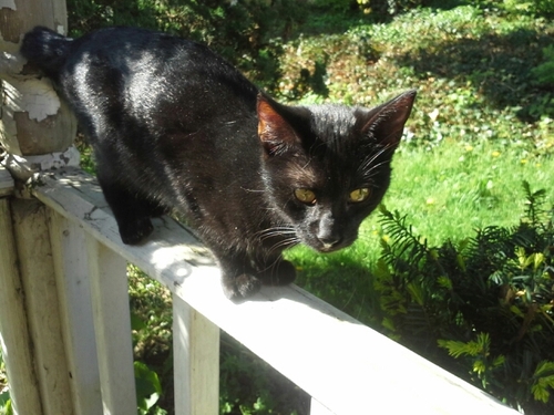 mnoblitt113's profile picture. 