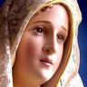 Rosa_999's profile picture. Catolica: Sierva de Dios..El fruto del silencio es la oración, el de la oración es la fe,de la fe es el amor, del amor es el servicio, del servicio es la paz...
