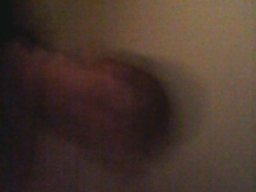 romanthegreatii's profile picture. you can make the follow me and have me happy