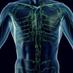 LymphomaInfo&Support (@lymphomasupport) Twitter profile photo