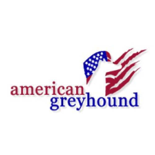 AmericanGreys's profile picture. American Greyhound, Inc. is a 501c3 not-for-profit corporation, dedicated to finding homes for retired racing #greyhounds, #lurchers & other displaced #hounds.