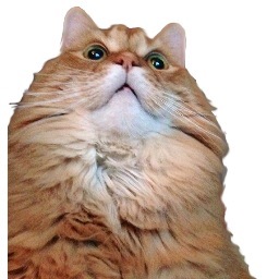 bbmcbiii's profile picture. 