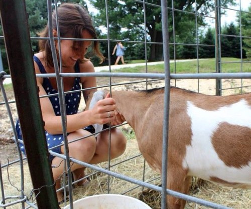 MPLS. farm to table. locally sourced. @curiousgoatmn instagram: kirioanderson