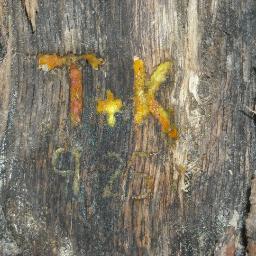 I am an artist, wife, dog mom and homemaker. I love nature, disk golf, cooking and entering giveaways and sweepstakes.