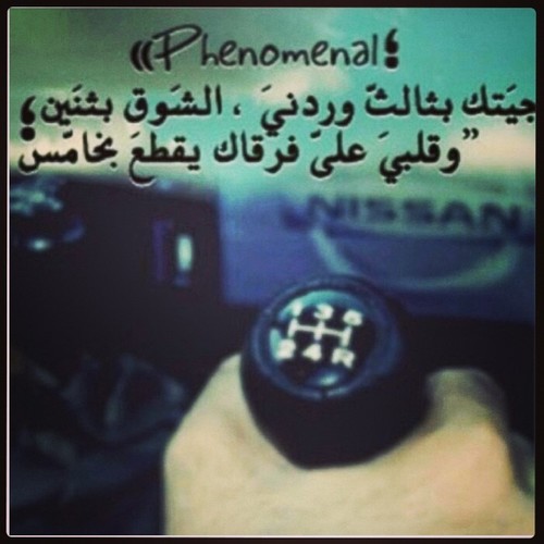 ‏‏راعي سلهود