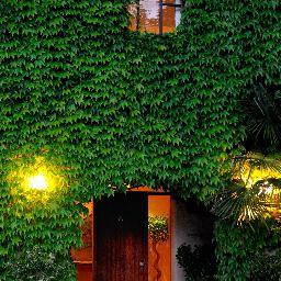 janemilknhoney's profile picture. 5 star Luxury Lodge