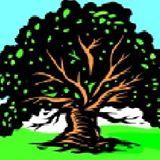 oakcenter's profile picture. OCNA provides a forum to solve problems with crime, blight, City services, education, and jobs to improve quality of life and to celebrate Oak Center.