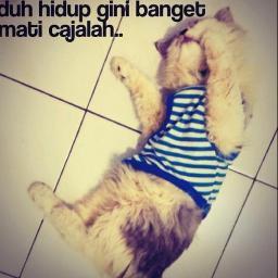 vikriatulazizah's profile picture. enjoy dan jalani aja sesuai takdir Tuhan :) :D pimmy pimmy