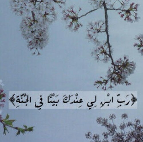 سبحان الله وبحمدهِ عدد خلقهِ ورضى نفسه وزنة عرشه ومداد كلماته.
