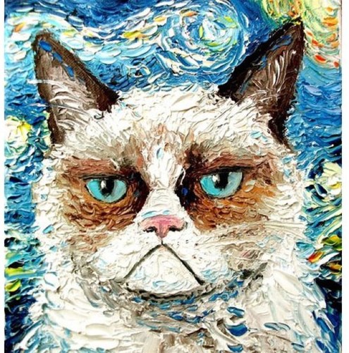 McMungle's profile picture. 