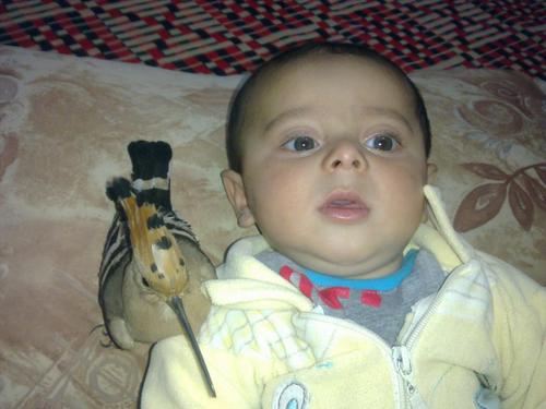 مدرب مهارات