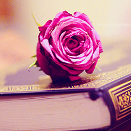 ‏‏كل عمل ابن أدم يضاعف #الحسنة بعشر أمثالها إلى سبعمائه ضعف ، إن هذه الـ #حسنات من أجلي وأجلك يا نوف♥