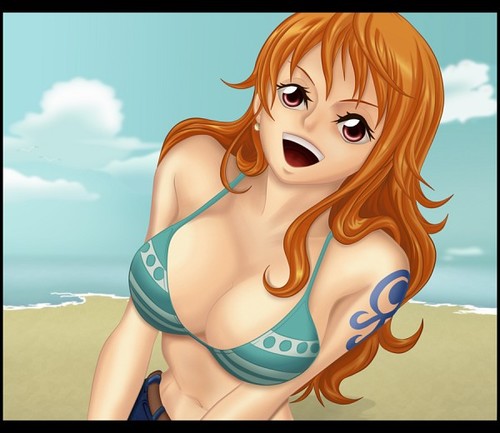 i'm Nami! but if you're a bounty hunter i'm not... Part of the straw hat pirates. navigator. {Bounty 16.000.000 Beli}