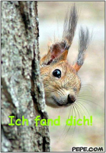 didi_59061's profile picture. beurat