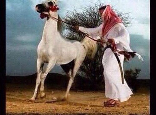 ليس كلما أكتبه دائماترجمه لأحاسيسي وليس كل ما أرسله حكايه عن واقعي إنما هي كلمات راقت لي..وقد يحتاجها غيري:✍تًٍرًٍكًٍيًٍ ••اًٍلًرٍيًاضًٍ••