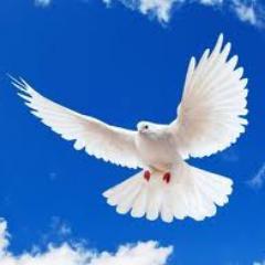 simontowett1's profile picture. 