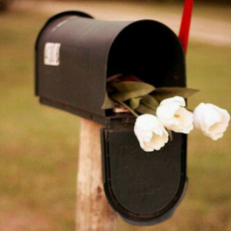 MrmoOoad's profile picture. 