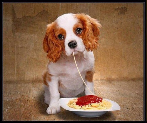 akata_makata's profile picture. 