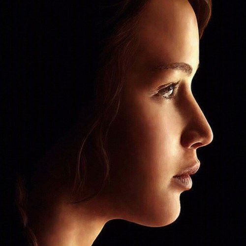 From District 12 ,tribute Peeta and me pair compete in the Games together. I used knowledge of hunting and archery to survive {single/GirlOnFire/D12}