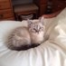Jacs B ๐ (@jacs44) Twitter profile photo Jacs B ๐ (@jacs44) Twitter profile photo