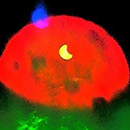 Universic Timesさんのプロフィール画像