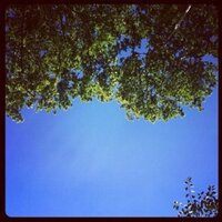 boraa (@bora_arli) 's Twitter Profile