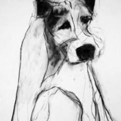For the latest information, images, merchandise and news from the madcap world of Valerie Davide.
