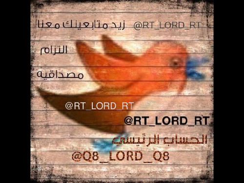 فلو + ريتويت + = زيادة متاابعين ♥