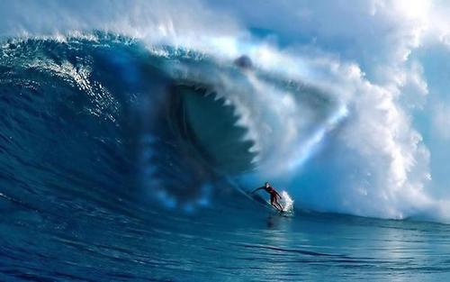 Official page for the upcoming movie #INVISISHARK What do you do when you cant see danger!