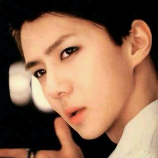 ปุอิ้งๆ o^-^o ผมเน่น้อยชานมเซฮุน  ลีลาเด็ด ท่าเยอะ มาคุยกันนะครับ ส่ายไข่ไปมา.