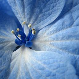 wsuvarna21's profile picture. 