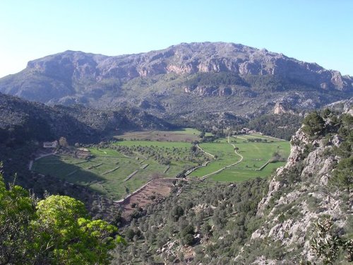 Living an environmentally-friendly life, Rugby League fan and former sclerochronologist. Views are mine