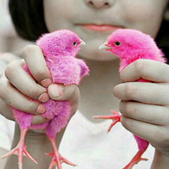 Mohammed  Pin 264A2894