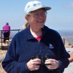 okscoutr's profile picture. 