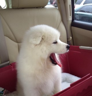 brianpbelanger's profile picture. 