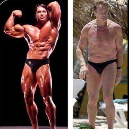 FitnessAreus's profile picture. 