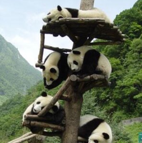 amandapetersen2's profile picture. Middle aged but young at heart, married with two sometimes adorable children. Saved by grace and eternally thankful. Merthyr girl born and bred!