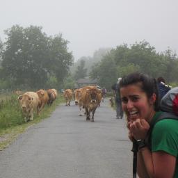 MARTHOOT's profile picture. Caminante en un mundo innecesario