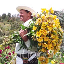 Prográmate en la Feria de las Flores en Medellín del 31 de Julio al 9 de Agosto de 2015. ¡¡A gozar todos los días!!!