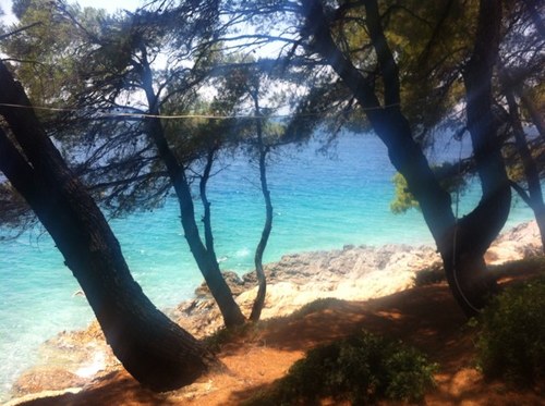 mariskoti's profile picture. 