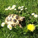 jacqueline gamble - @jgamble006 - Twitter