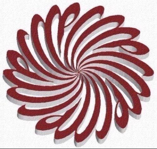 lasertracking's profile picture. 