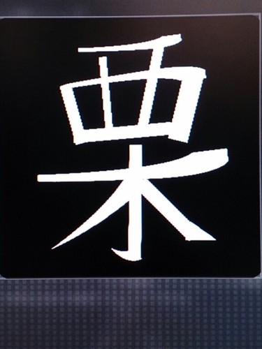 どみねーしょん