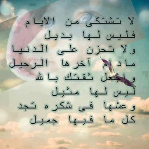 ربي لا تآخذني من الدنيا الا وآنت راضي عني ♥ قُل هو اللّه احد ¤ اللّه الصمَد ¤ لم يلِد ولم يُولَد ¤ ولم يَكُن له كفواً احد ¤ ♥!'