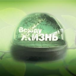 ЧитаюВсехВзаимно