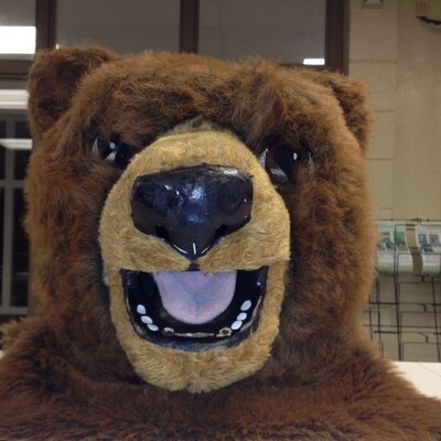 Profile Picture of Tracy Allenon Twitter