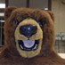 Tracy Allen (@shhsallen) Twitter profile photo